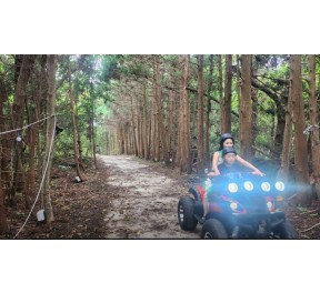 숲속바이크 - 성인4인 기준 무료 입장권 (소아포함으로 변경 가능)