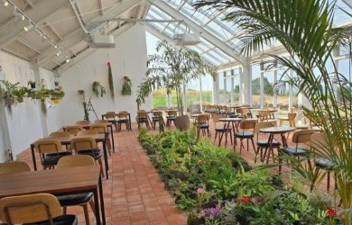 (블로그,클립,릴스 자유선택) 카페봉글락 - 아메리카노 무료