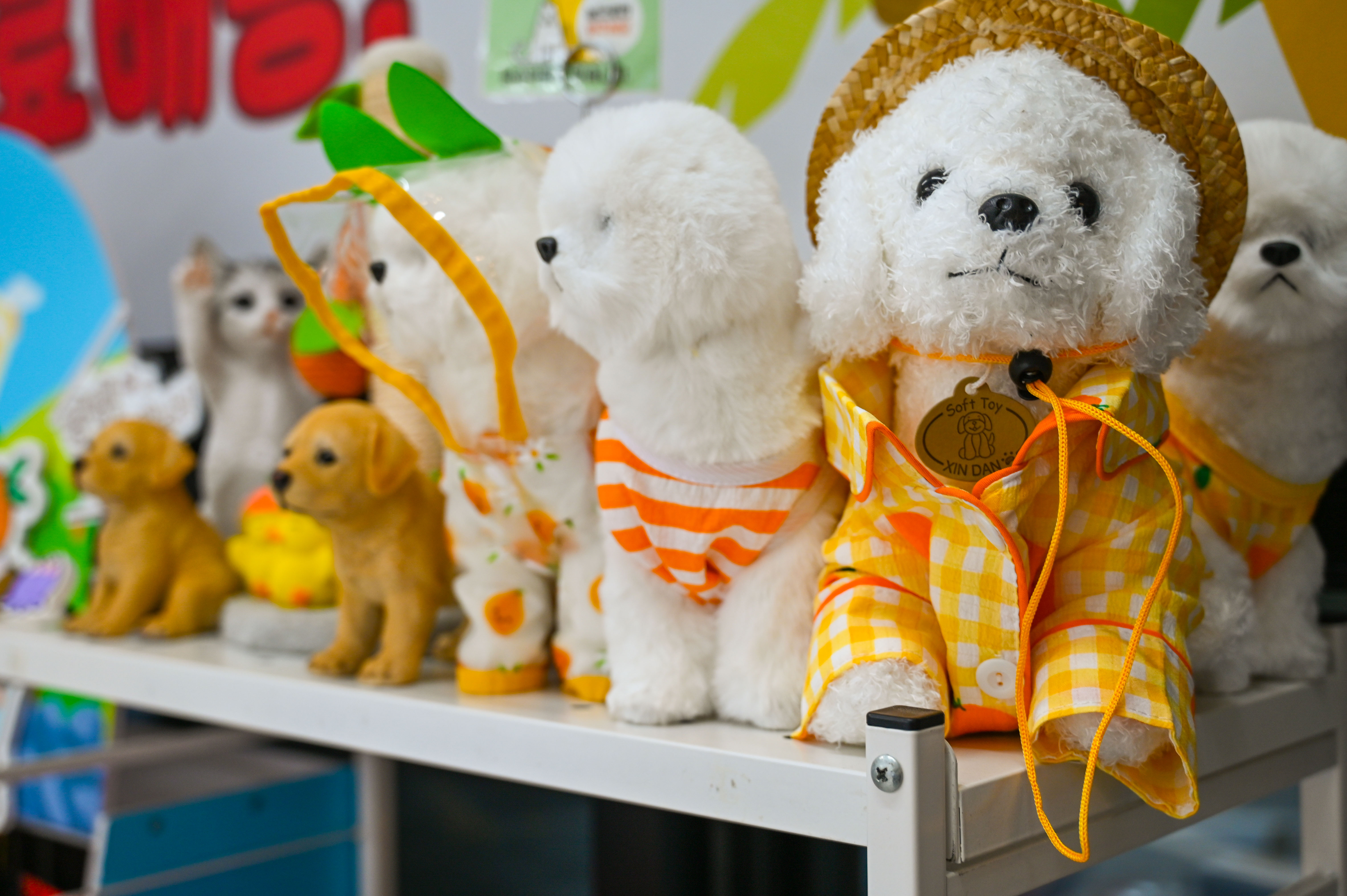 [방문] 선물고팡 공항점 릴스, 클립 체험단 모집