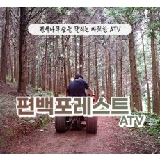 편백포레스트(릴스,클립,블로그)   -   먹이주기 체험,  atv 기본코스  4인 무료입장권 (소아포함으로 변경가능)