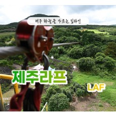 [블로그/클립/릴스 中 택1]제주라프