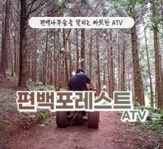 [블로그/클립/릴스 中 택1]편백포레스트