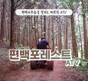[블로그/클립/릴스 中 택1]편백포레스트